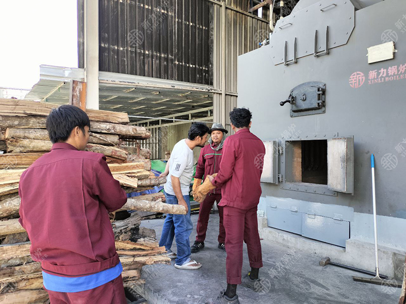 綠色能源助力！新力生物質鍋爐DZH4在柬埔寨食品廠點火試運行成功！